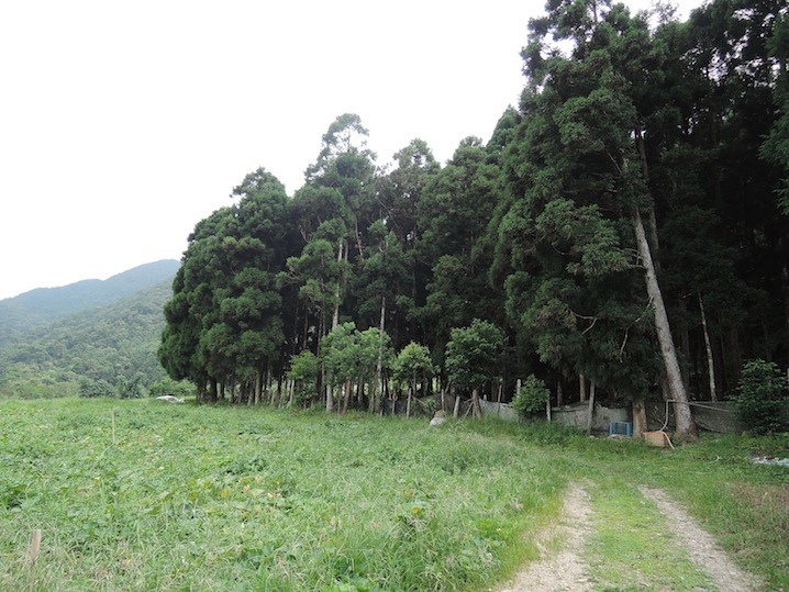 DSCN5553 DSCN5553