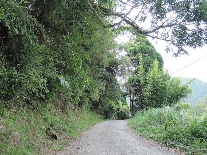 DSCN5556 DSCN5556