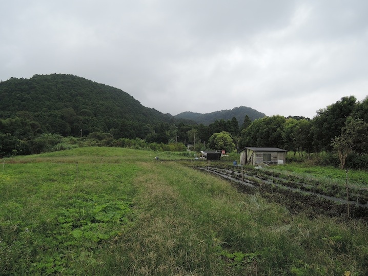 DSCN5574 DSCN5574