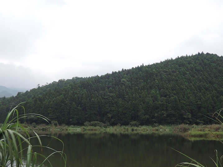 DSCN5594 DSCN5594