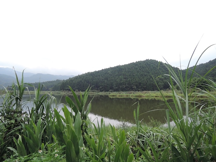 DSCN5596 DSCN5596