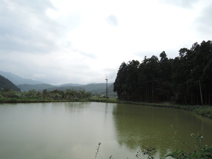 DSCN5618 DSCN5618