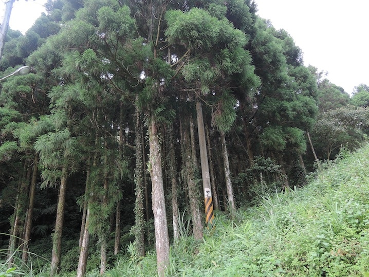 DSCN5625 DSCN5625