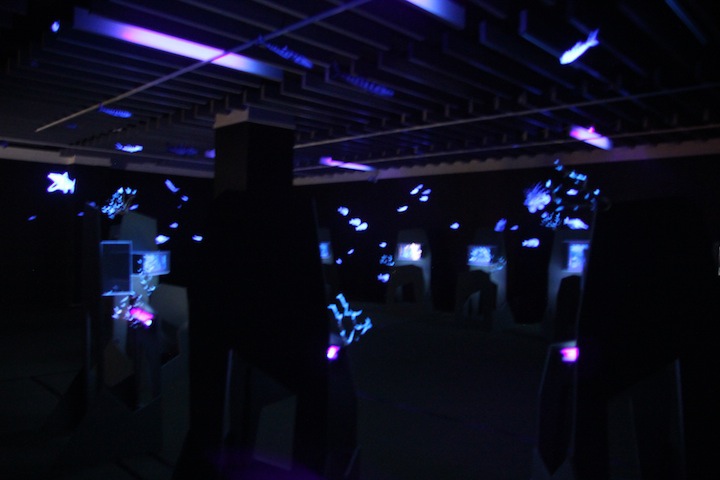 IMG_8559.JPG IMG_8559.JPG
