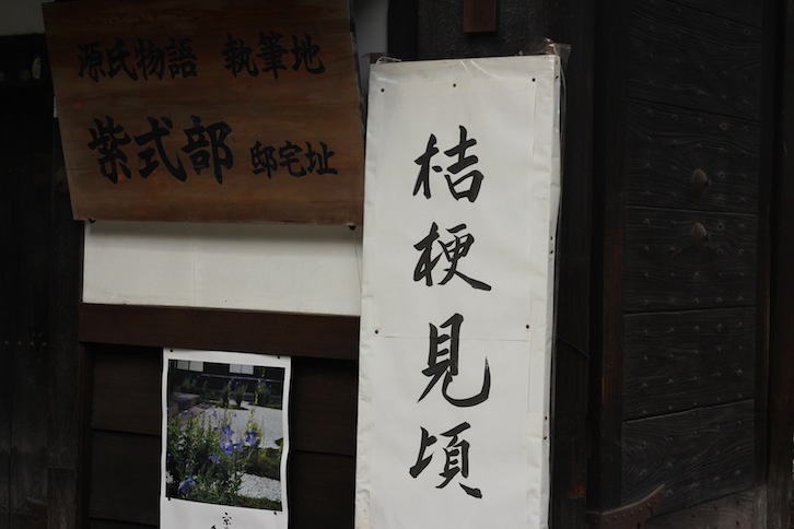 IMG_9377 IMG_9377