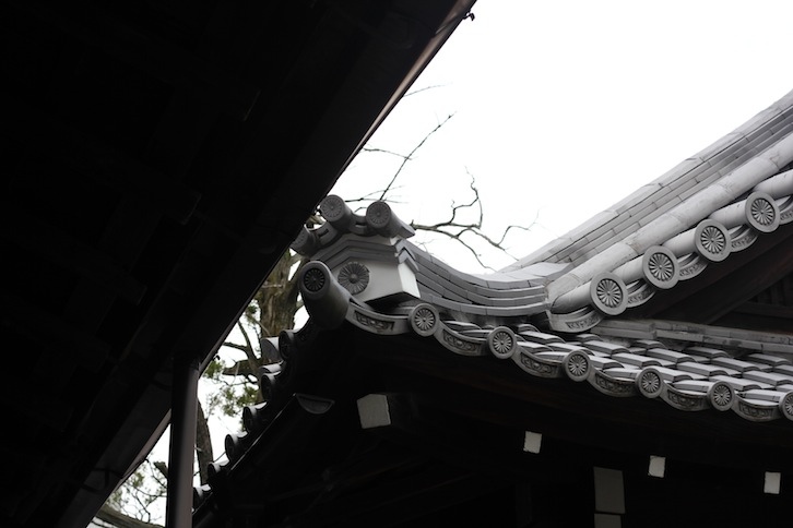 IMG_9404 IMG_9404