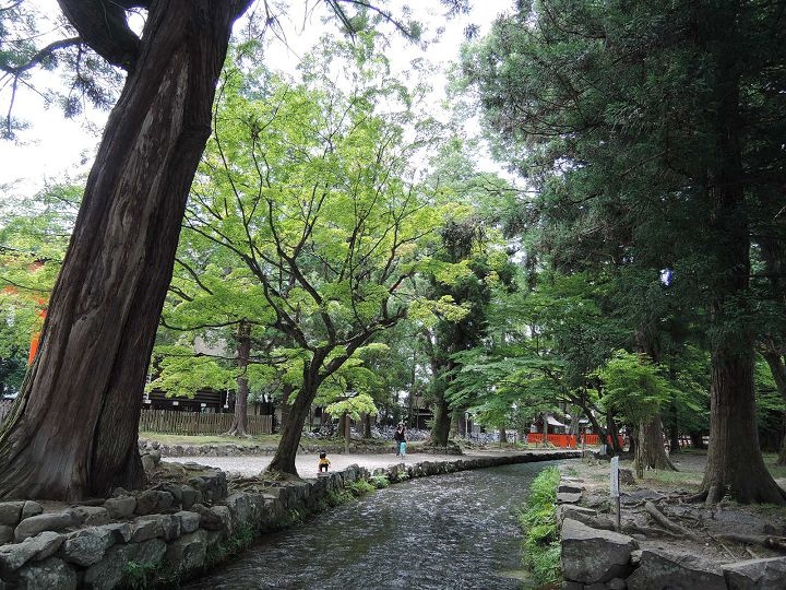 DSCN7784 DSCN7784