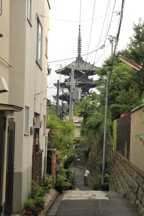 IMG_3949 IMG_3949