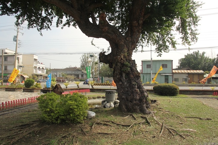IMG_2348 IMG_2348