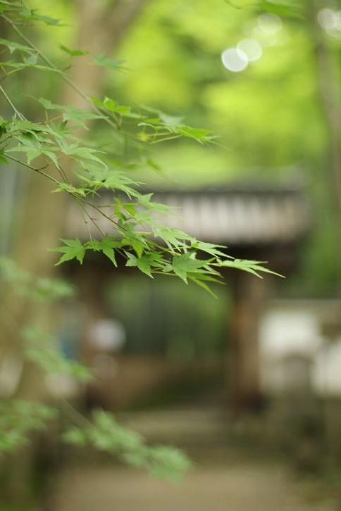 IMG_9860 IMG_9860