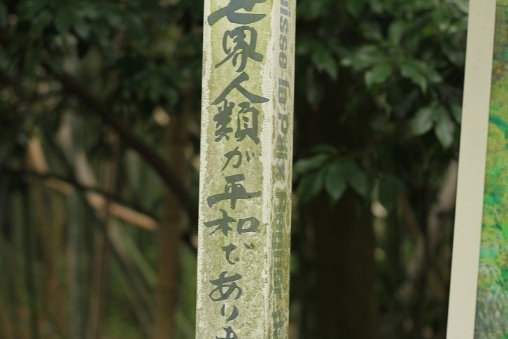 IMG_9875 IMG_9875