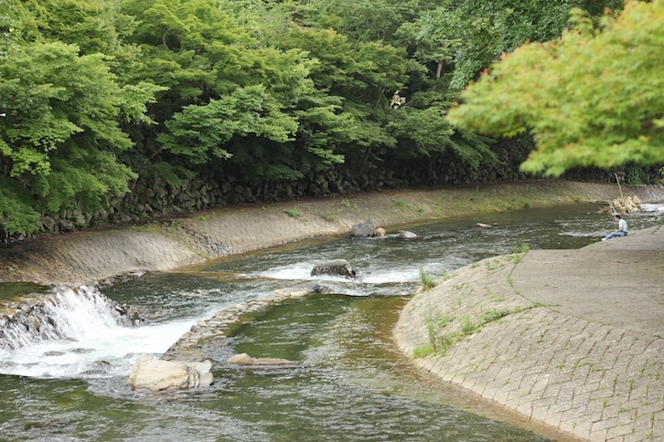 IMG_9250 IMG_9250