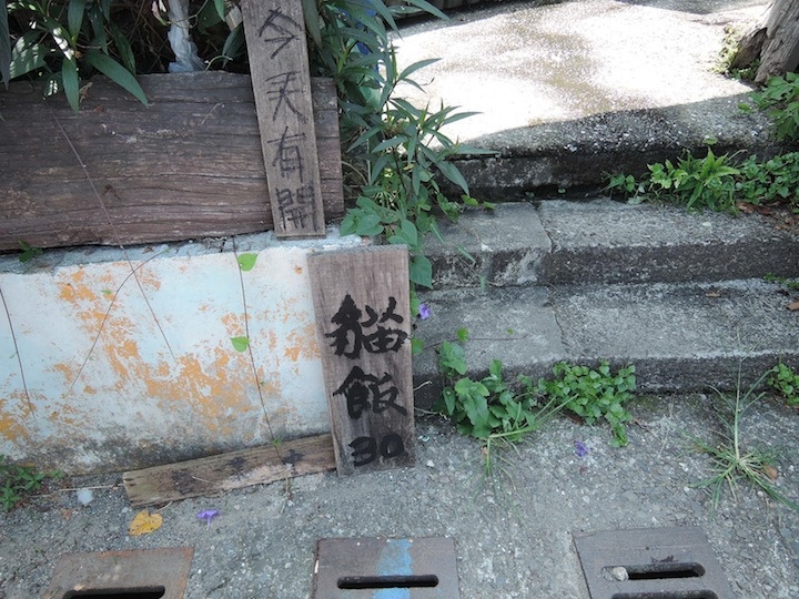 DSCN8282 DSCN8282