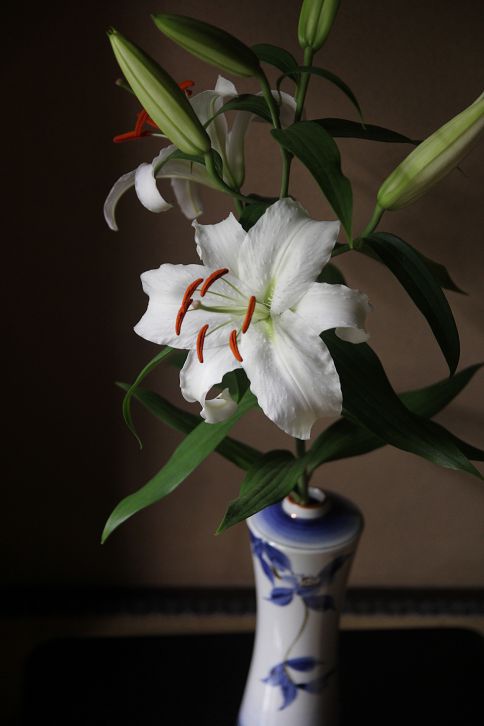IMG_0204 IMG_0204