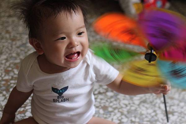 13668829_10153875497085753_8007193439927437447_o