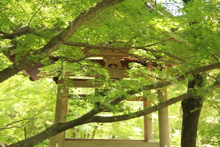 IMG_0500 IMG_0500