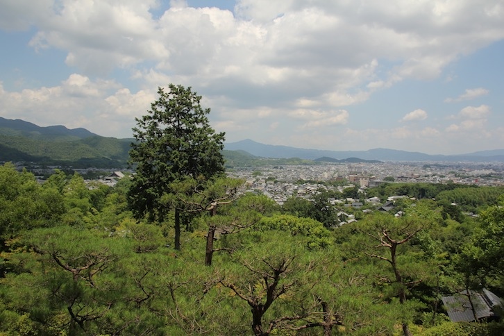 IMG_0523 IMG_0523