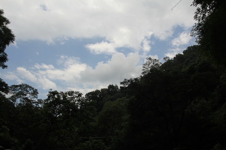 IMG_8428.JPG IMG_8428.JPG