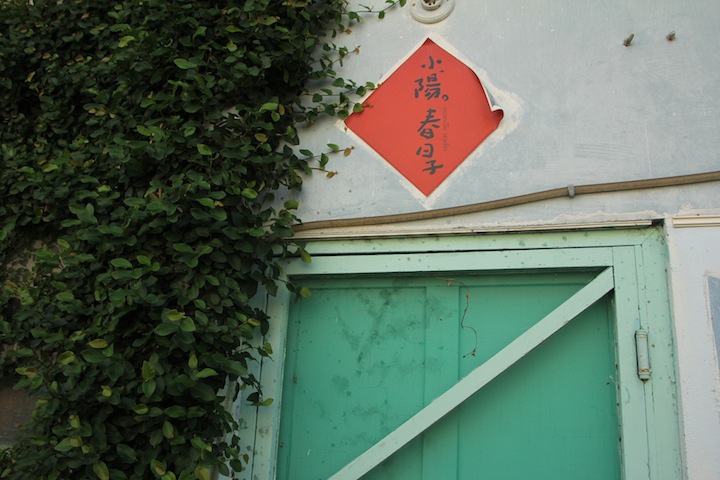 IMG_8667 IMG_8667
