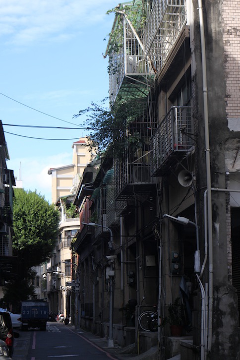 IMG_4446.JPG IMG_4446.JPG
