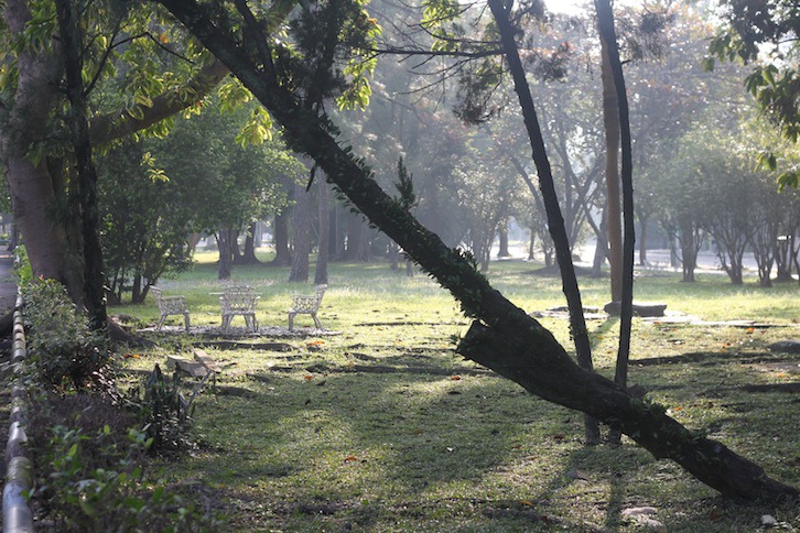 IMG_6019 IMG_6019