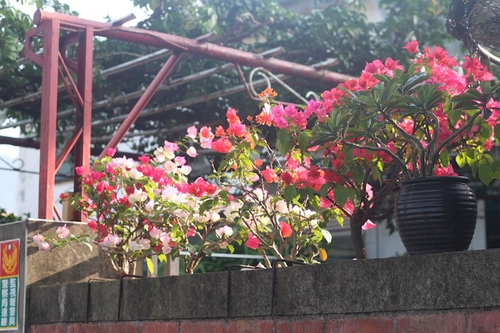 IMG_6029 IMG_6029