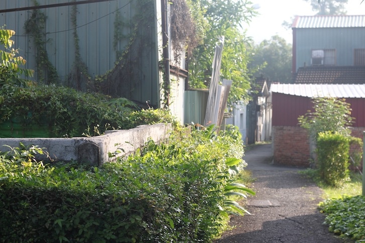 IMG_6053 IMG_6053