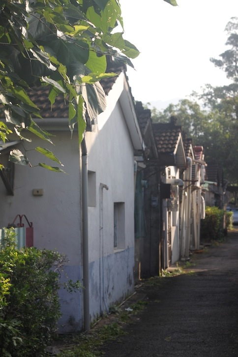 IMG_6057 IMG_6057