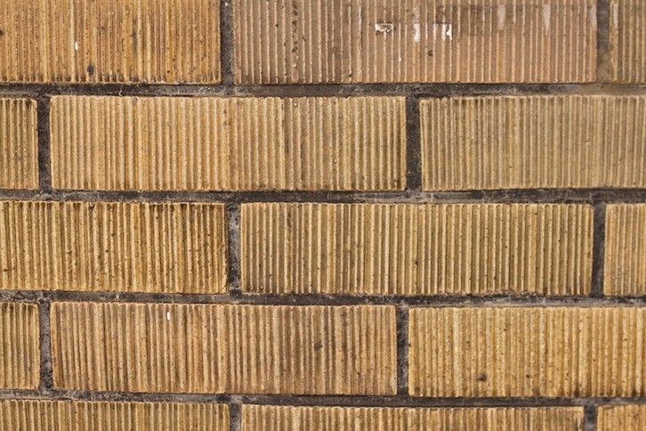 IMG_2880 IMG_2880