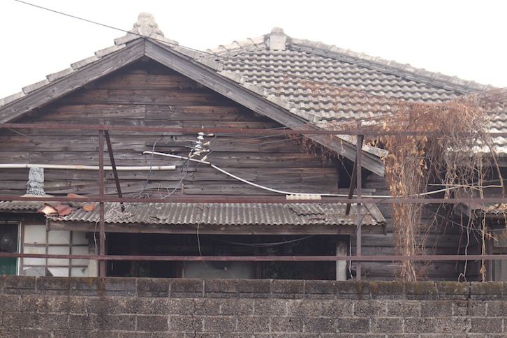 IMG_2896 IMG_2896