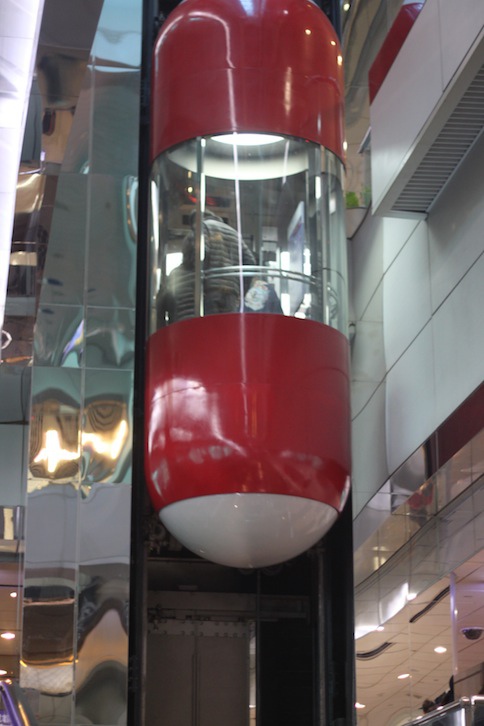 IMG_6236 IMG_6236