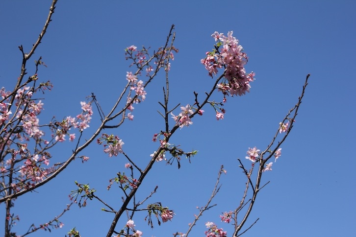 IMG_2470 IMG_2470