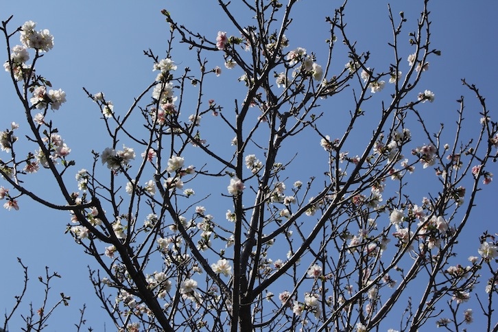 IMG_2520 IMG_2520