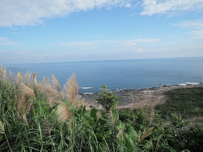 DSCN9165 DSCN9165