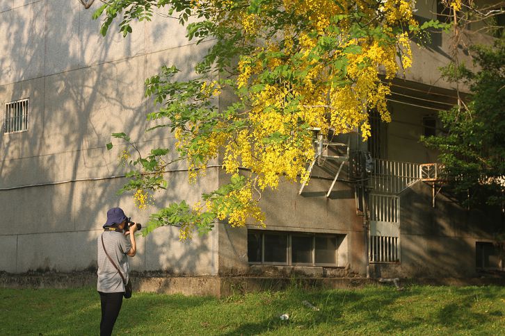 IMG_7380 IMG_7380