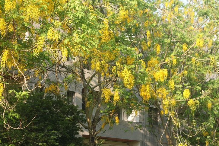 IMG_7400 IMG_7400