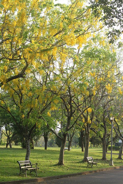 IMG_7416 IMG_7416