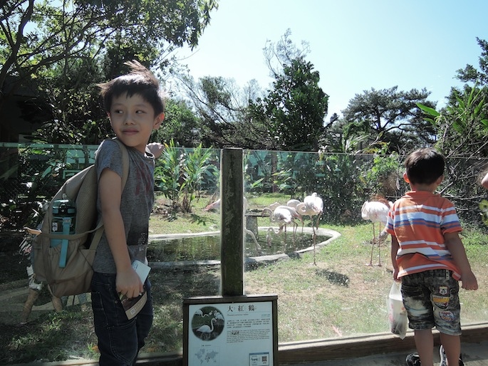 DSCN8766 DSCN8766