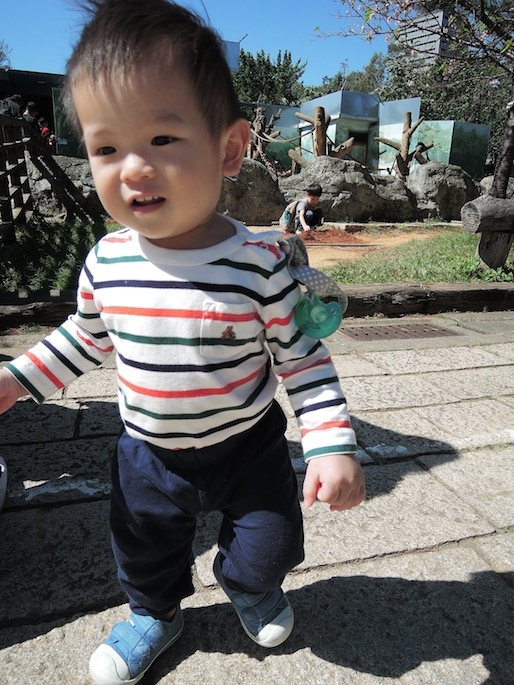 DSCN8771 DSCN8771