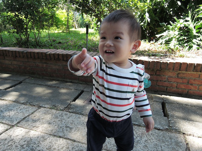 DSCN8776 DSCN8776