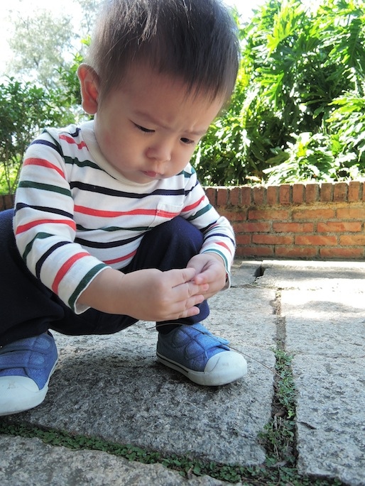 DSCN8784 DSCN8784