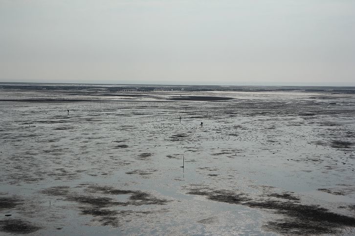 IMG_0265 IMG_0265