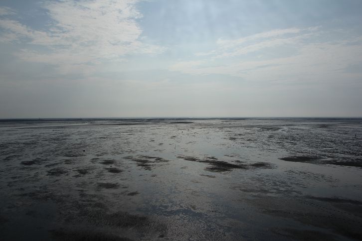 IMG_0269 IMG_0269