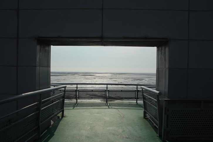 IMG_0305 IMG_0305