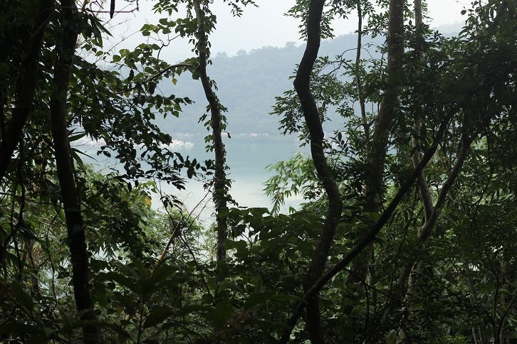 IMG_8504 IMG_8504