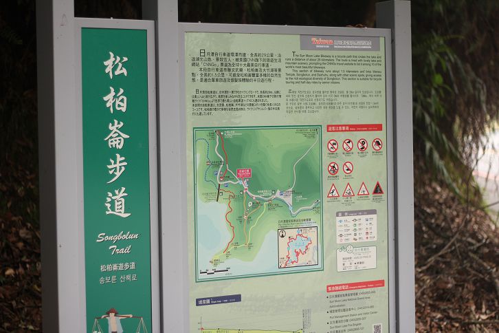 IMG_8559 IMG_8559
