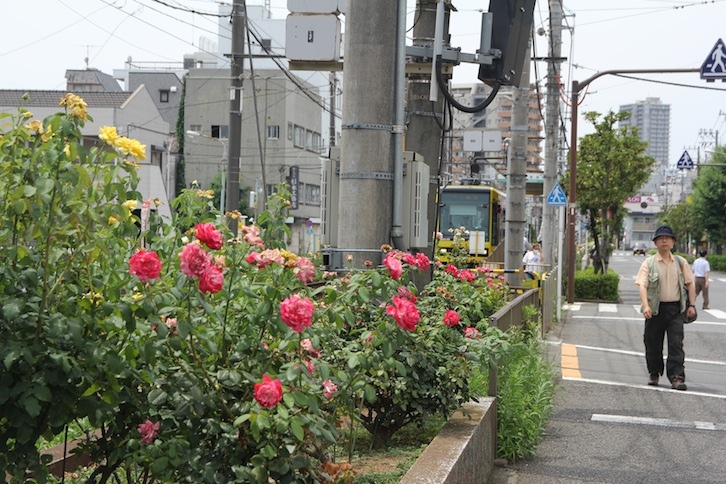 IMG_0866 IMG_0866