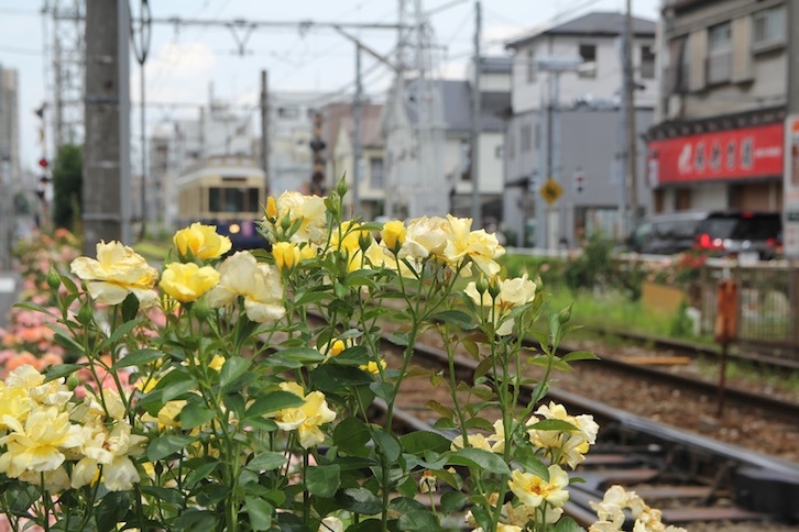 IMG_0872 IMG_0872