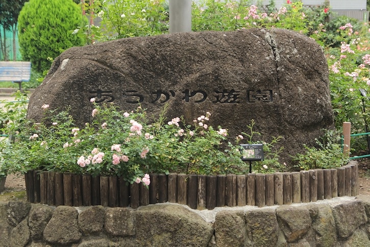 IMG_0885 IMG_0885
