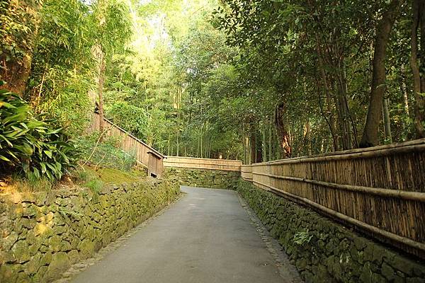 進入法然寺竹林